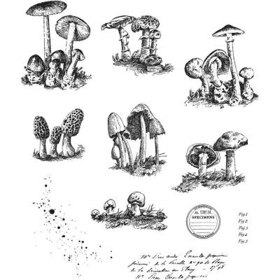 Stampers Anonymous Tim Holtz Cling Stamps - Tiny Toadstools